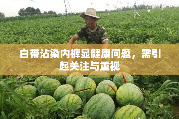 白带沾染内裤显健康问题，需引起关注与重视