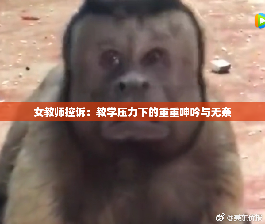 女教师控诉：教学压力下的重重呻吟与无奈