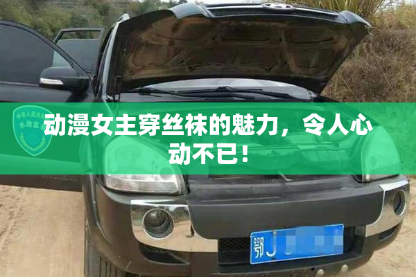 动漫女主穿丝袜的魅力，令人心动不已！