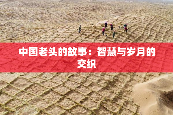 中国老头的故事：智慧与岁月的交织