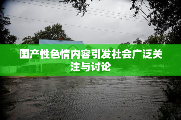 国产性色情内容引发社会广泛关注与讨论