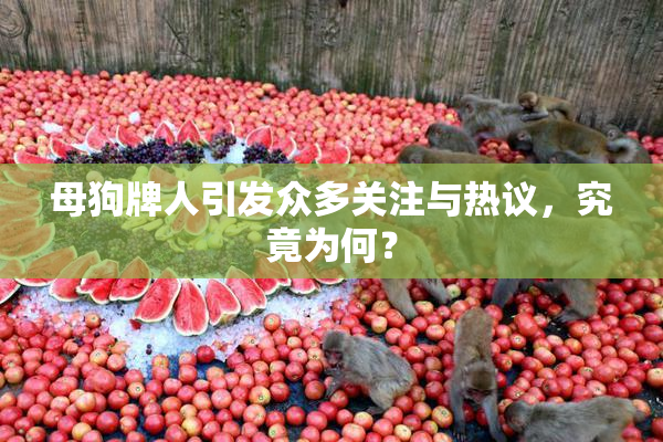 母狗牌人引发众多关注与热议，究竟为何？