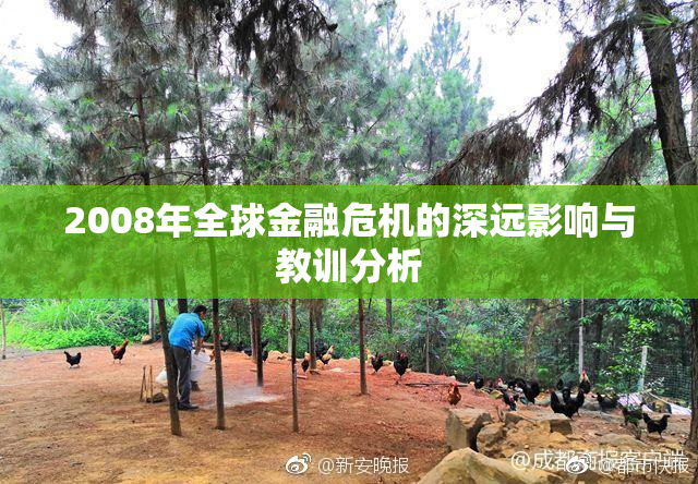 2008年全球金融危机的深远影响与教训分析