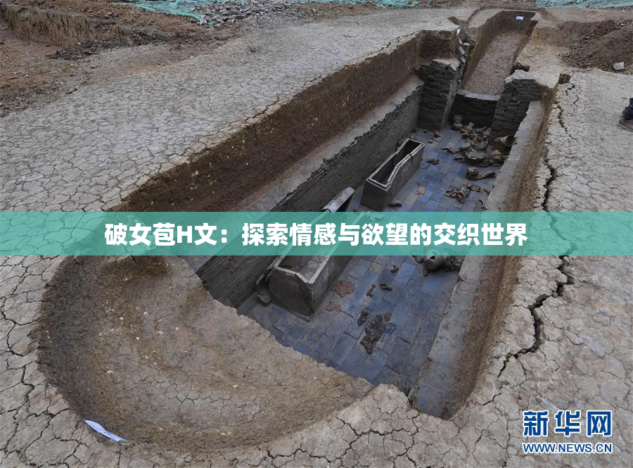 破女苞H文：探索情感与欲望的交织世界