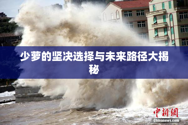少萝的坚决选择与未来路径大揭秘