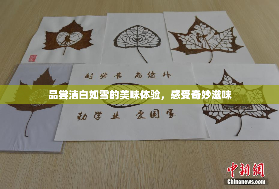 品尝洁白如雪的美味体验，感受奇妙滋味