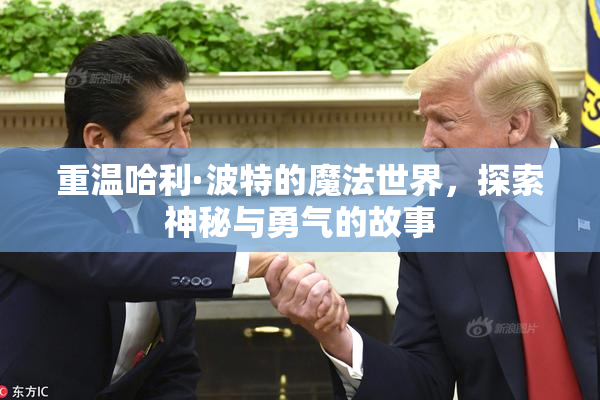 重温哈利·波特的魔法世界，探索神秘与勇气的故事