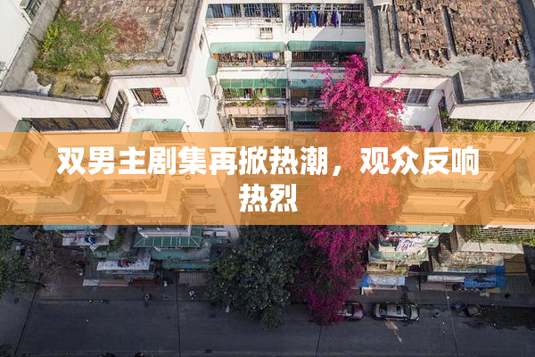 双男主剧集再掀热潮，观众反响热烈