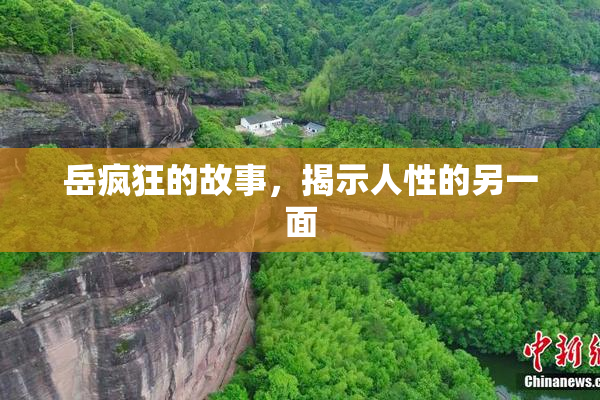 岳疯狂的故事，揭示人性的另一面