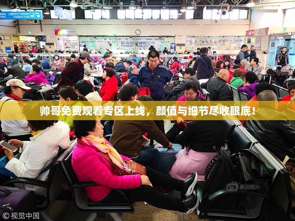 帅哥免费观看专区上线，颜值与细节尽收眼底！