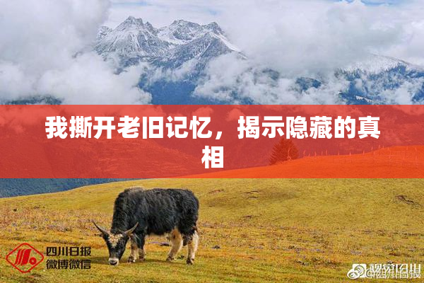 我撕开老旧记忆，揭示隐藏的真相