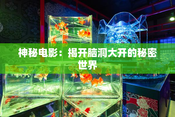 神秘电影：揭开脑洞大开的秘密世界