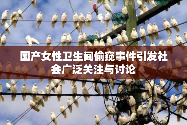 国产女性卫生间偷窥事件引发社会广泛关注与讨论