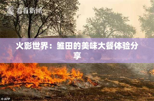 火影世界：雏田的美味大餐体验分享