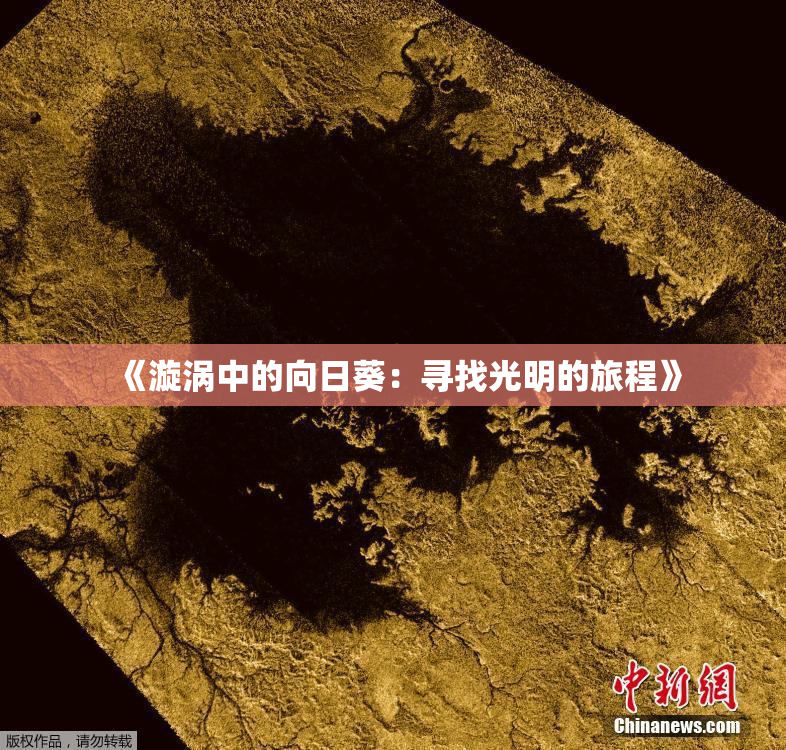 《漩涡中的向日葵：寻找光明的旅程》