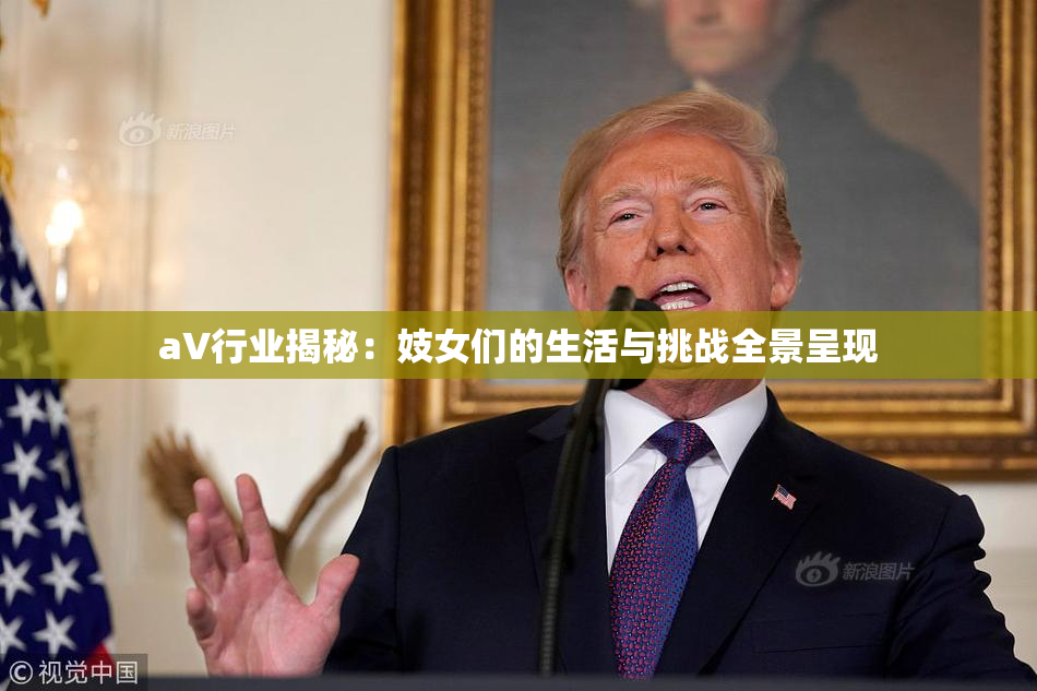 aV行业揭秘：妓女们的生活与挑战全景呈现
