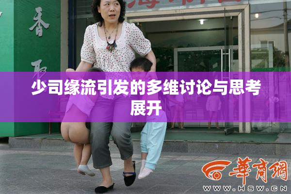 少司缘流引发的多维讨论与思考展开