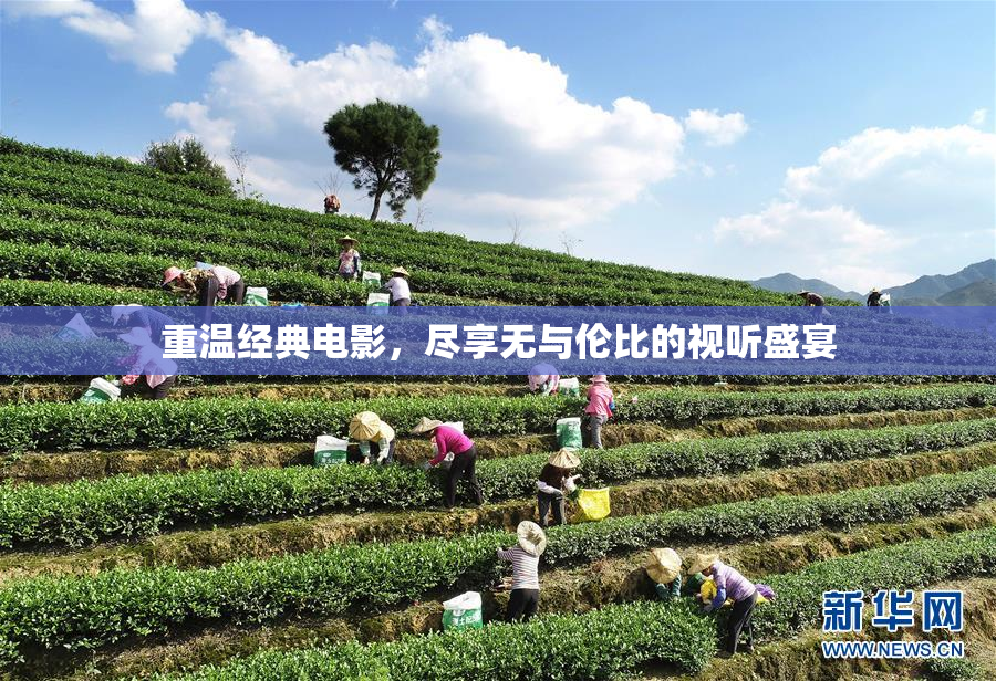 重温经典电影，尽享无与伦比的视听盛宴