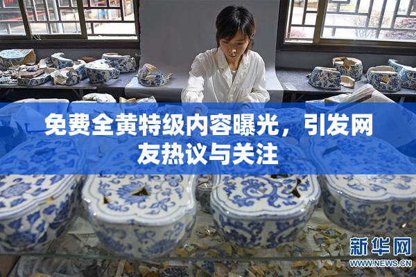 免费全黄特级内容曝光，引发网友热议与关注
