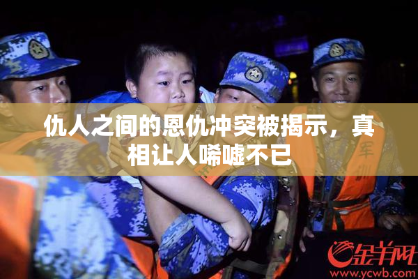 仇人之间的恩仇冲突被揭示，真相让人唏嘘不已
