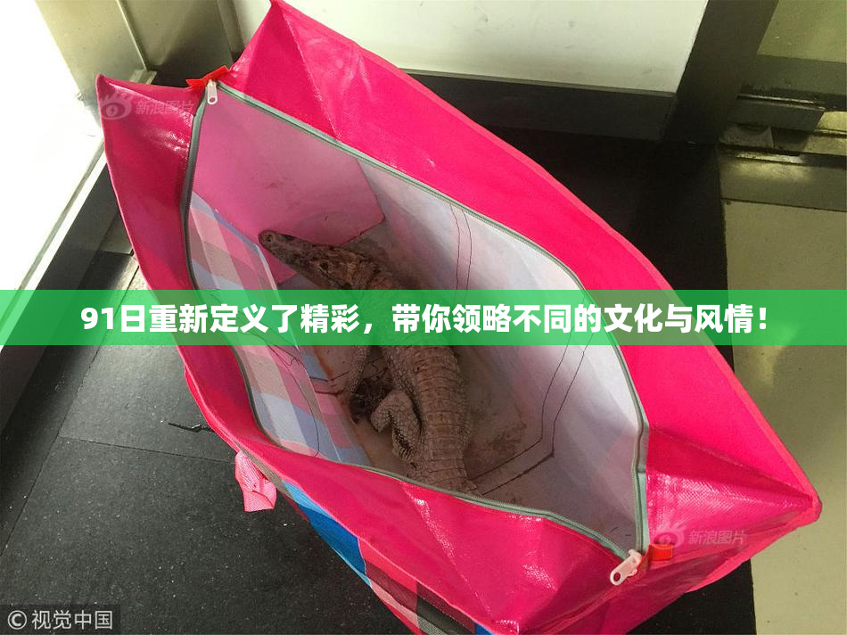 91日重新定义了精彩，带你领略不同的文化与风情！