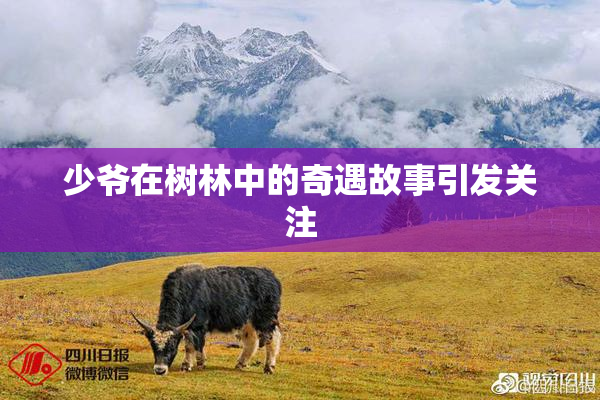 少爷在树林中的奇遇故事引发关注