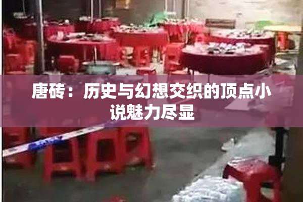 唐砖：历史与幻想交织的顶点小说魅力尽显