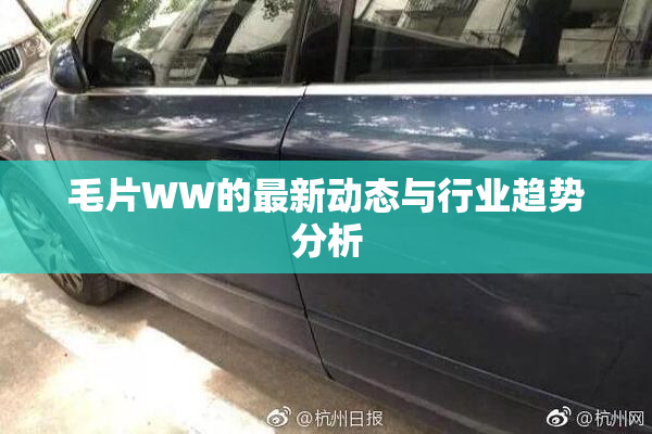 毛片WW的最新动态与行业趋势分析