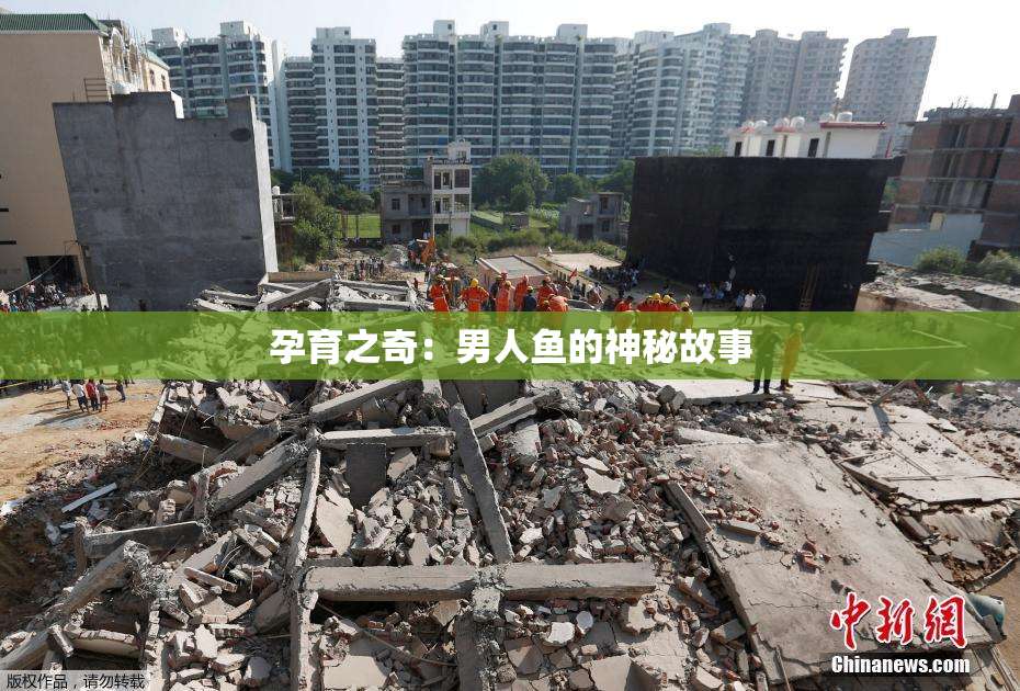 孕育之奇：男人鱼的神秘故事