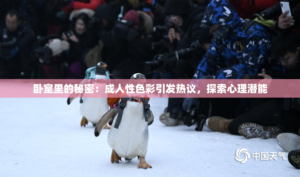 卧室里的秘密：成人性色彩引发热议，探索心理潜能