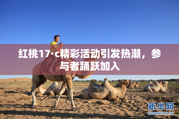 红桃17·c精彩活动引发热潮，参与者踊跃加入