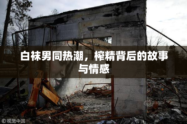 白袜男同热潮，榨精背后的故事与情感