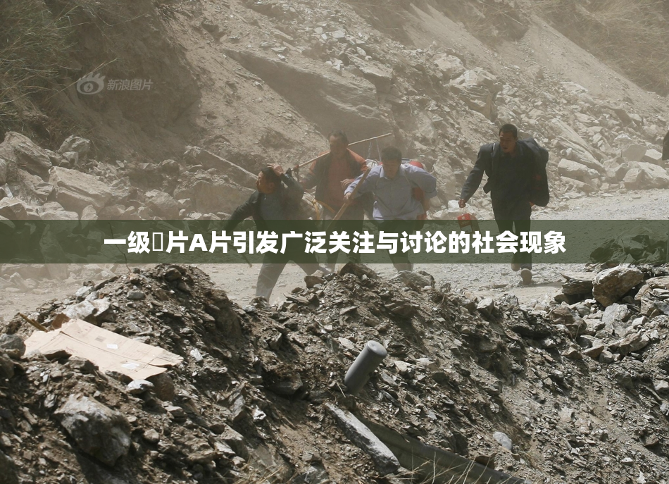 一级婬片A片引发广泛关注与讨论的社会现象