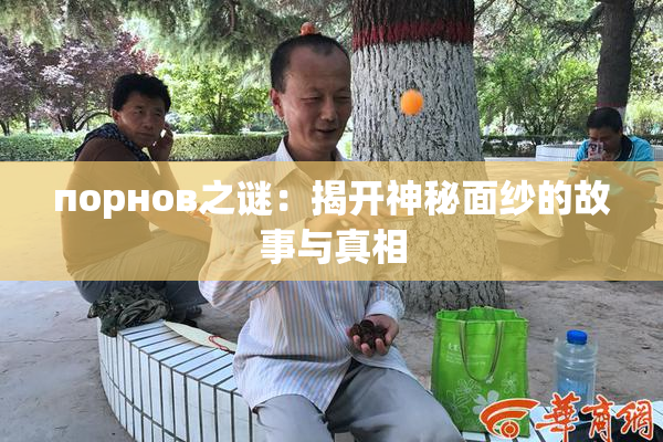 порнов之谜：揭开神秘面纱的故事与真相