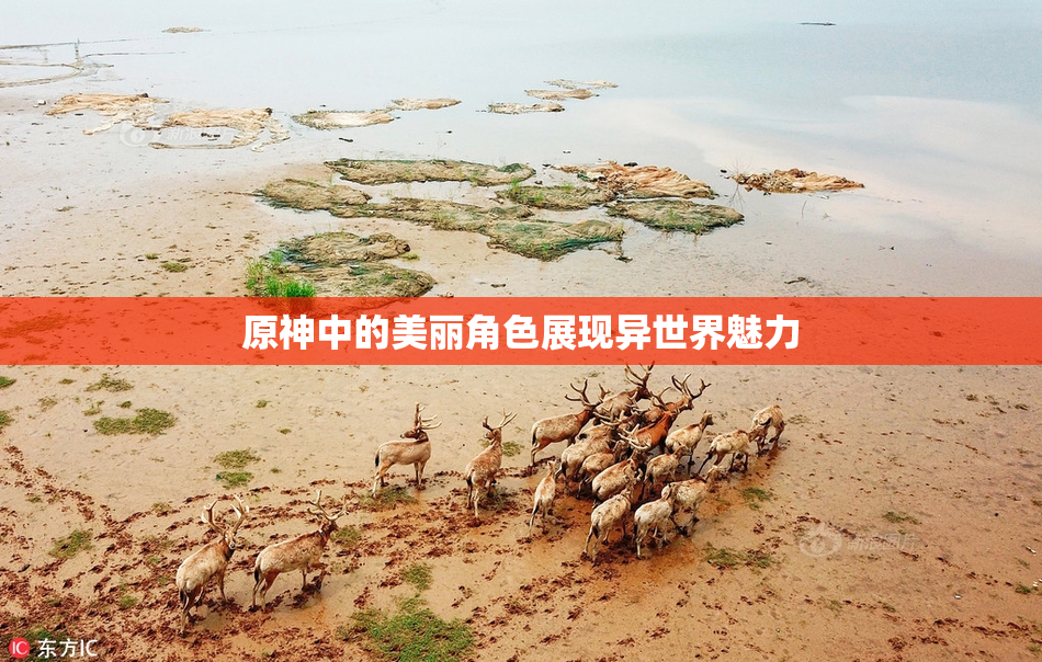 原神中的美丽角色展现异世界魅力