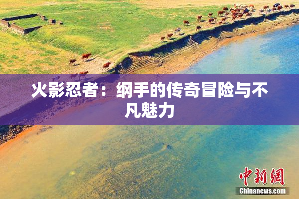火影忍者：纲手的传奇冒险与不凡魅力