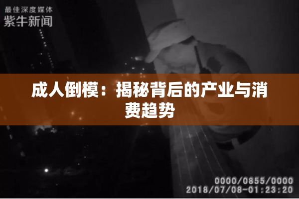 成人倒模：揭秘背后的产业与消费趋势