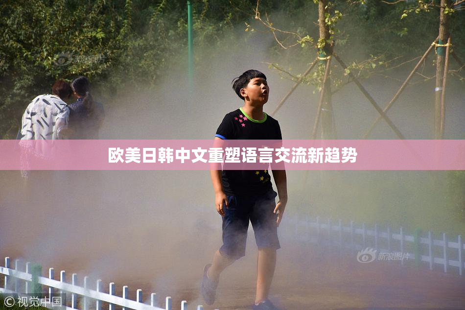 欧美日韩中文重塑语言交流新趋势