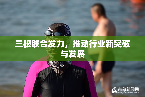 三根联合发力，推动行业新突破与发展