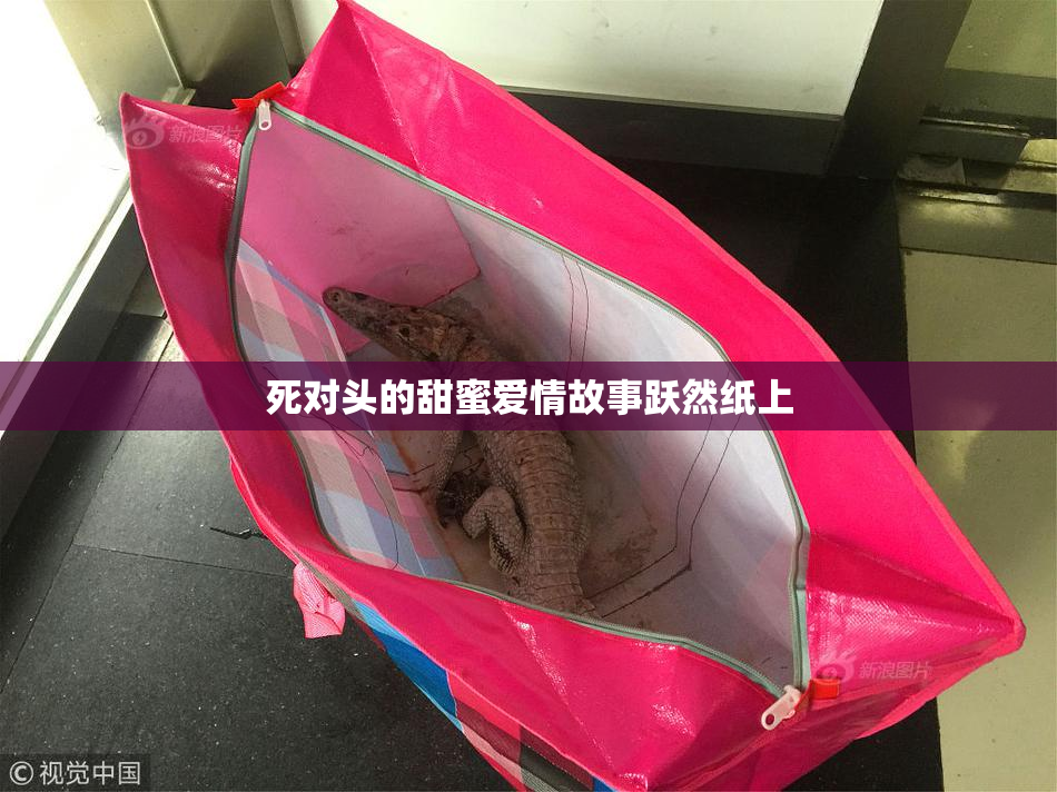 死对头的甜蜜爱情故事跃然纸上