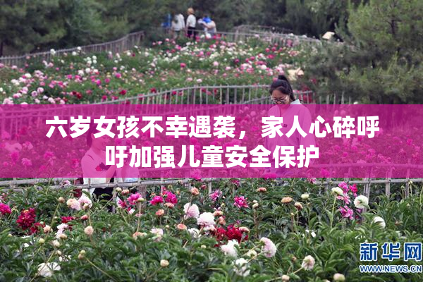 六岁女孩不幸遇袭，家人心碎呼吁加强儿童安全保护