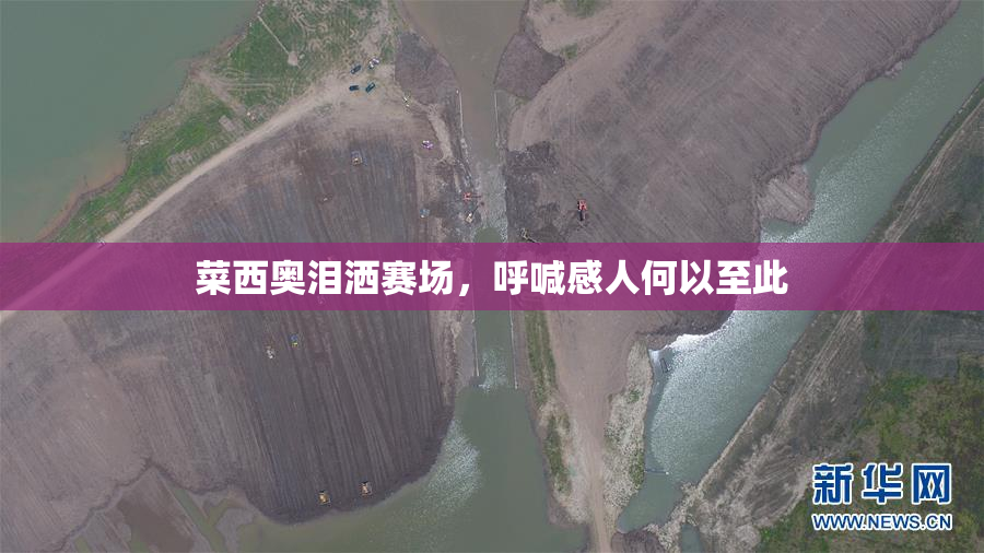 菜西奥泪洒赛场，呼喊感人何以至此