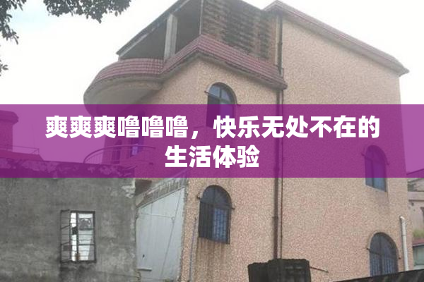 爽爽爽噜噜噜，快乐无处不在的生活体验