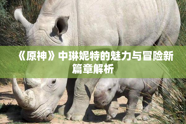 《原神》中琳妮特的魅力与冒险新篇章解析