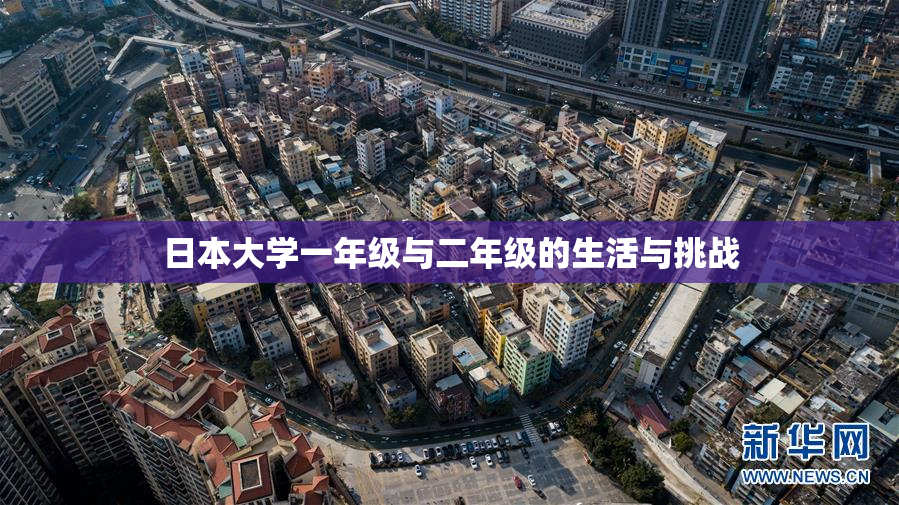 日本大学一年级与二年级的生活与挑战