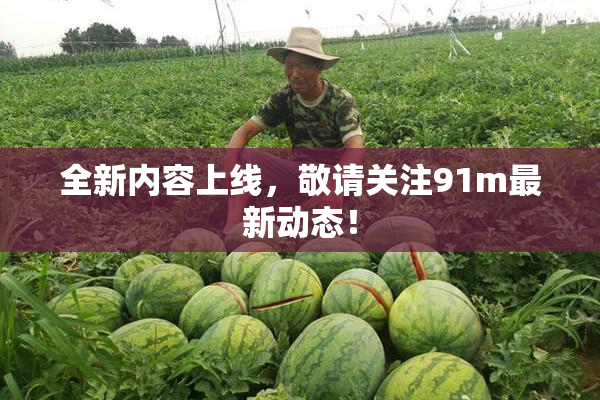 全新内容上线，敬请关注91m最新动态！