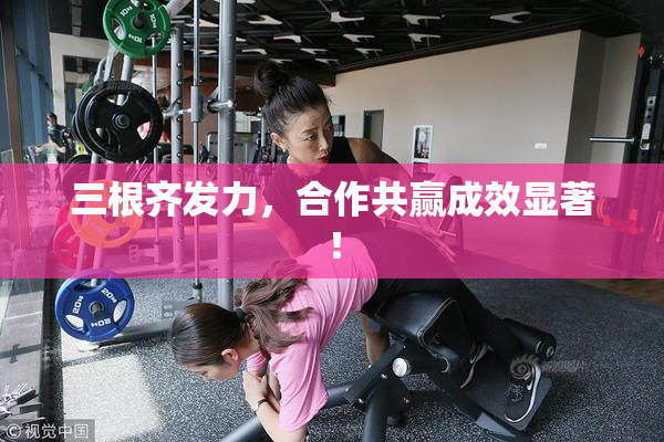 三根齐发力，合作共赢成效显著！