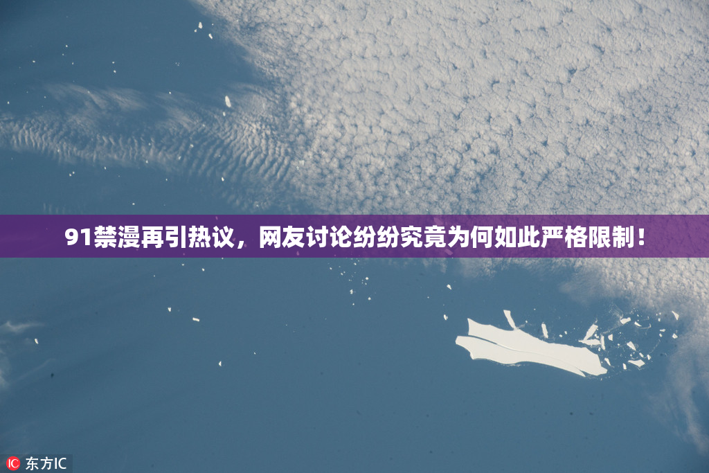 91禁漫再引热议，网友讨论纷纷究竟为何如此严格限制！