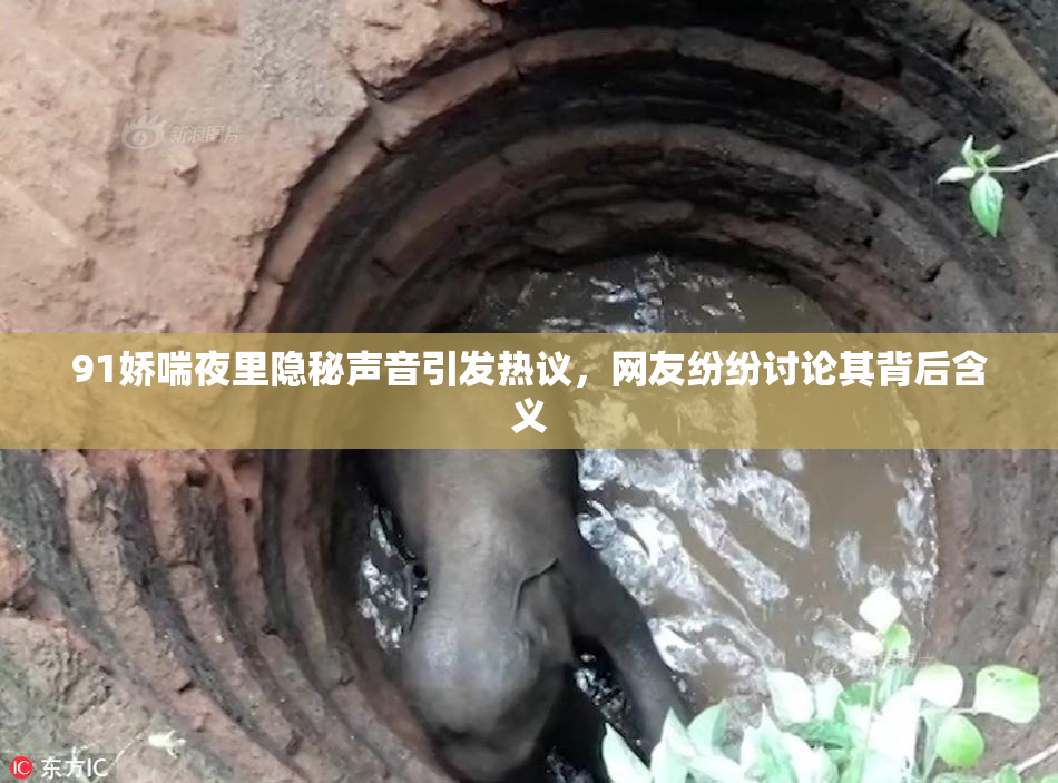91娇喘夜里隐秘声音引发热议，网友纷纷讨论其背后含义