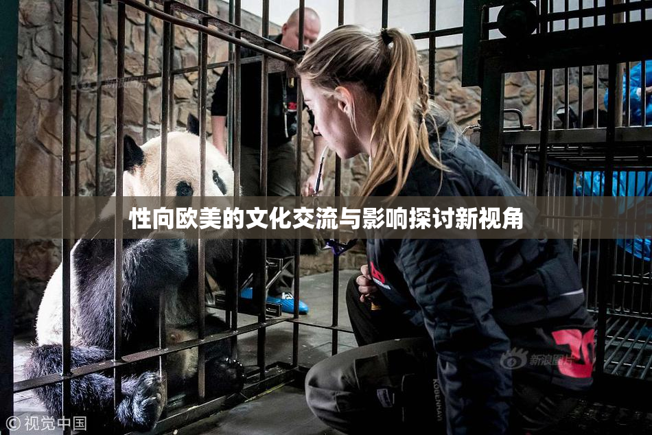 性向欧美的文化交流与影响探讨新视角